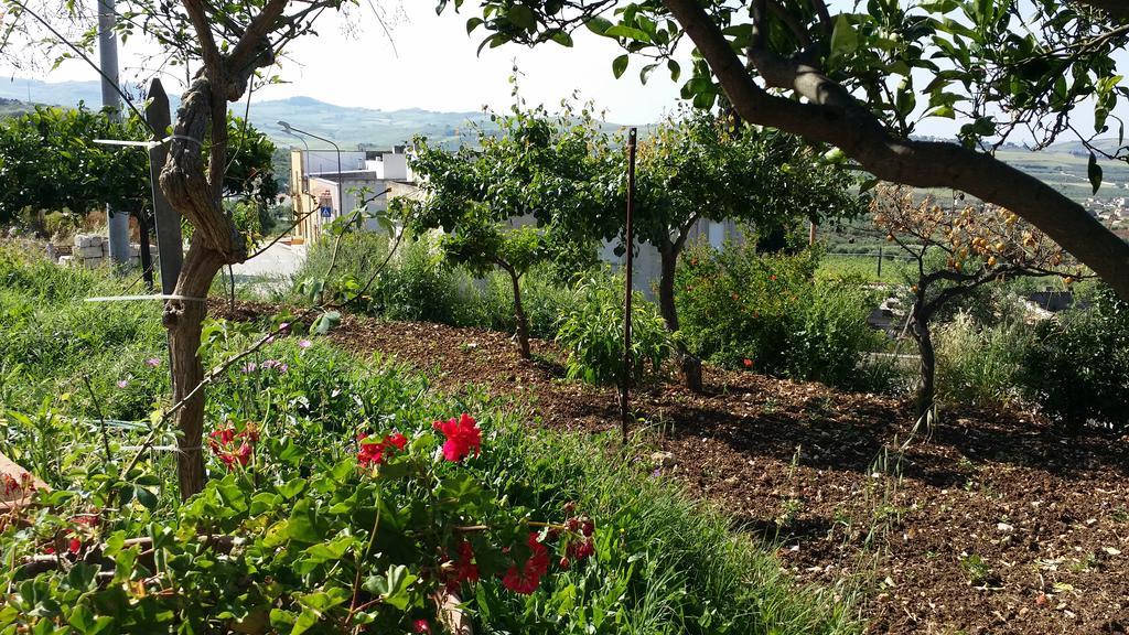 Sole E Fiori Di Sicilia Apartment Valderice Exterior photo
